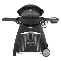 Weber Gasgrill Q 3200 Anzahl Brenner: 2, Hauptgrillfläche: 63 X 45 Cm, Schwarz -Shimano Shop 12 49