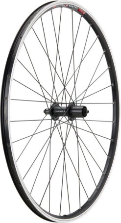 Urban Acera V-Brake DT Swiss 535 28" Laufradsatz 24 Urban Acera V-Brake DT Swiss 535 28" Laufradsatz -Shimano Shop 396798