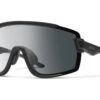 Smith Wildcat - Photochromic Clear To Grey, Matte Black