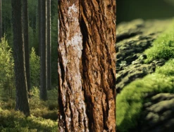 Anti-Transpirant Spray N°8 Wild Oak -Shimano Shop MAM 7311501 SHOP IMAGE 1.4