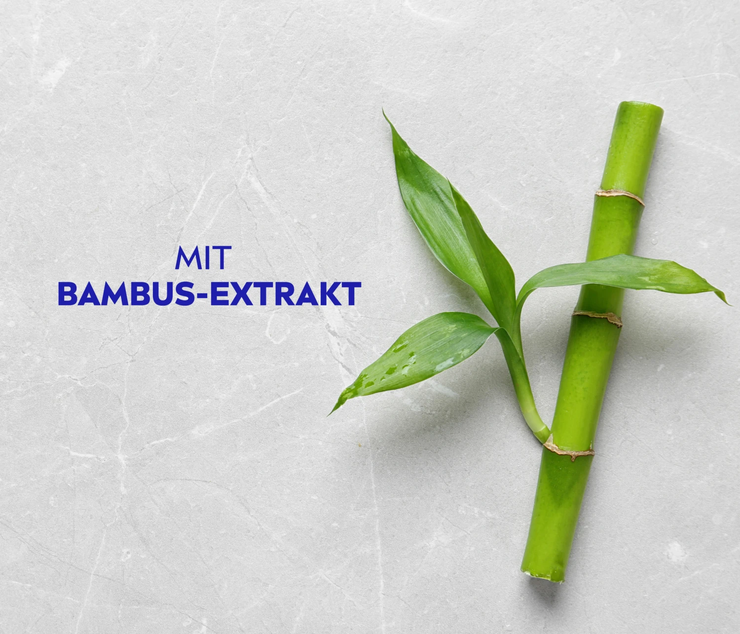 Anti Schuppen Shampoo 7 Anti Schuppen Shampoo – Bild 5